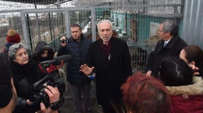 Belediye Başkanı Hayvan Barınağındaki G&ouml;r&uuml;nt&uuml;ler I&ccedil;in &Ouml;z&uuml;r Diledi