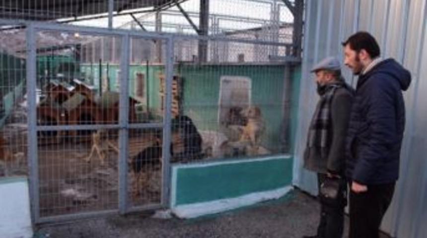 K&uuml;tahya Baro Başkanı Ahmet Atam: 2 Y&ouml;netim Kurulu &Uuml;yemiz Hayvan Barınağını İnceledi