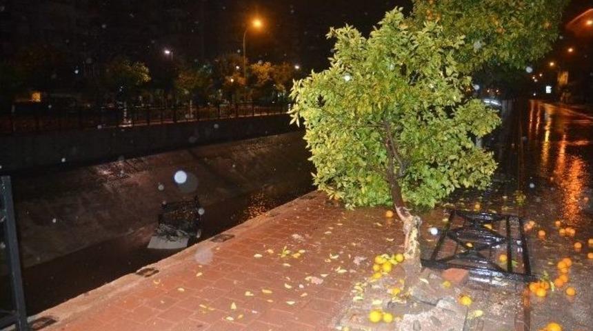 Adana&rsquo;da Otomobil Sulama Kanalına U&ccedil;tu: 1 Yaralı