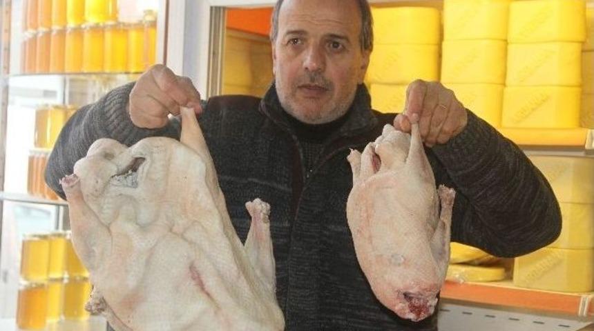 Dev Kaz Şaşırttı