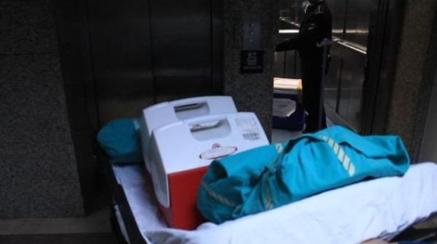 Kazada &Ouml;len Hilal, Organlarıyla Hastalara Umut Oldu