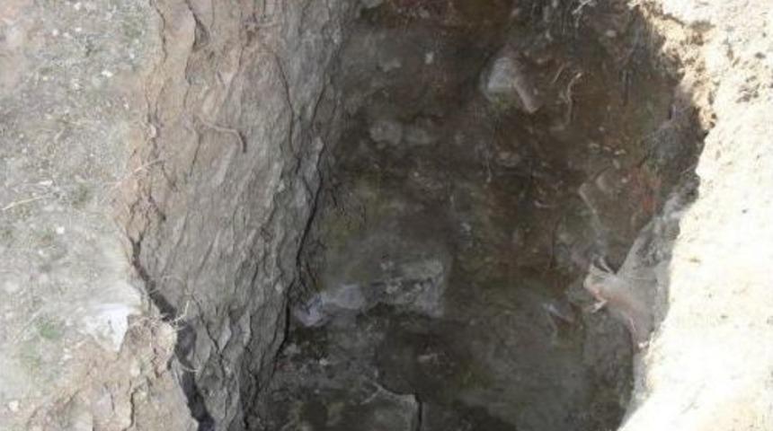 Aktepe'yi De Kazmaya Başladılar