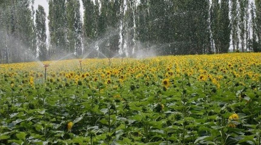 Konya Ovası&rsquo;nın &Ouml;zlemi Kop, Hızlı Adımlarla Y&uuml;r&uuml;yor