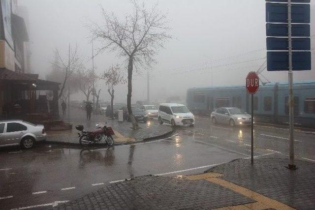 Gaziantep’te Yoğun Sis Ve Yağış