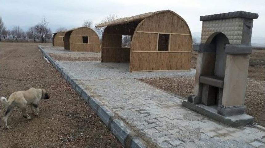 Sultan Sazlığı&rsquo;nda 8 Kamelya Yapıldı