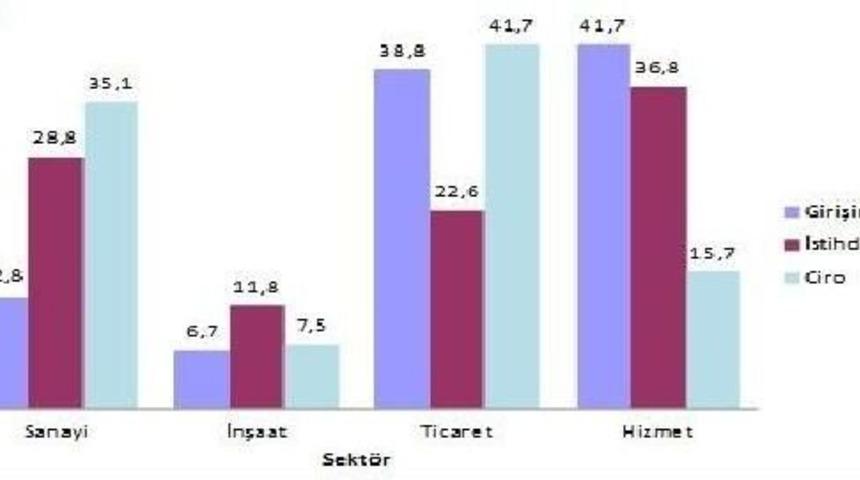 Girişim Ve Istihdamda En Y&uuml;ksek Pay Hizmet Sekt&ouml;r&uuml;n&uuml;n