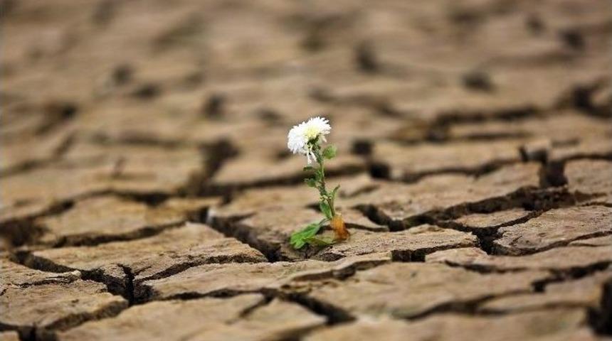 Kuraklık Muğla&rsquo;da Yaşamı Durdurdu