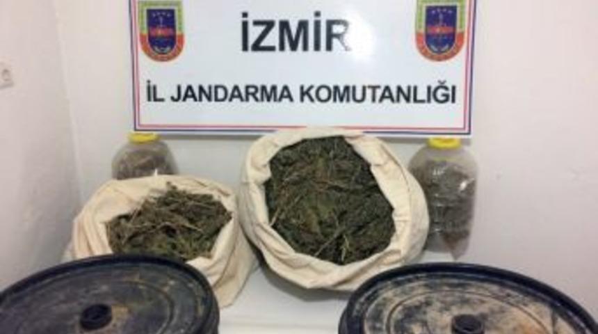 Jandarma Yarım Milyon Değerinde Uyuşturucu Ele Ge&ccedil;irdi