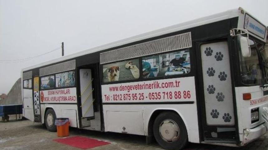 Hisarcık&rsquo;ta &rsquo;kısırlaştır, Aşıla, Yerinde Yaşat&rsquo; Projesi