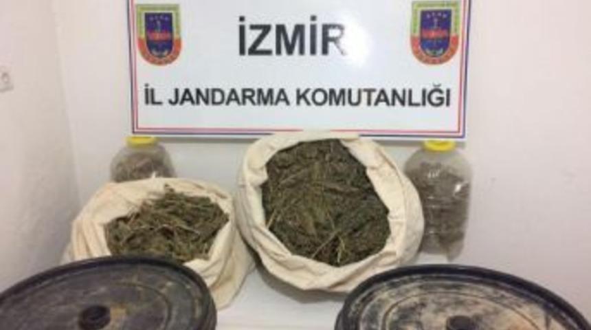 Tarladaki Bidonlardan Esrar &Ccedil;ıktı