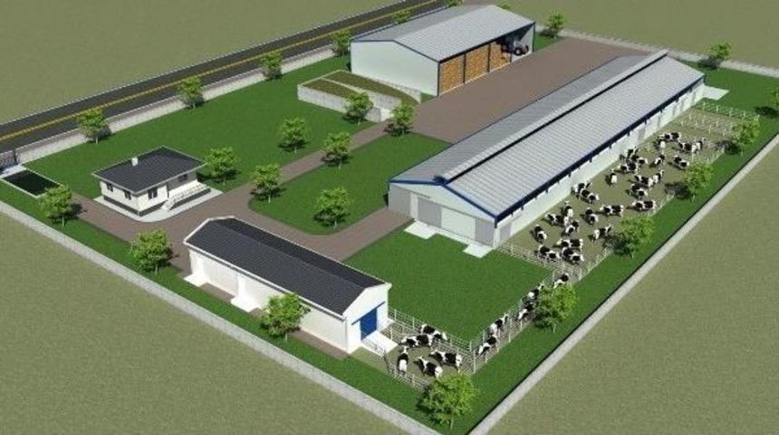 Hayvancılık Yatırımlarına Proje Desteği