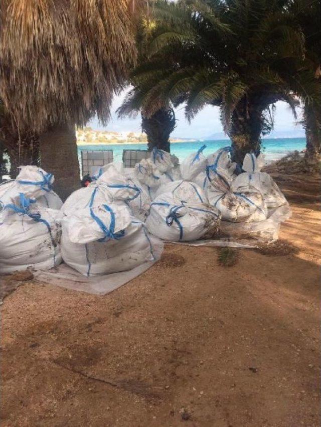 Çeşme'deki Gemi Kazasında Yakıt Sızıntısından En Çok Paşalimanı Etkilendi