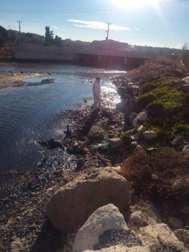 Çeşme'deki Gemi Kazasında Yakıt Sızıntısından En Çok Paşalimanı Etkilendi