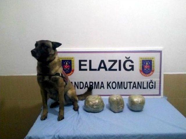 Güney Ekspresi'nde 6 Kilo Esrar Ele Geçirildi