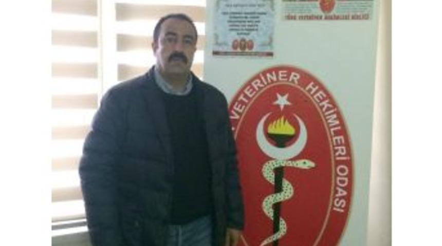 Mehmet Akif Ersoy’un Vefatının 80. Yıl Dönümü