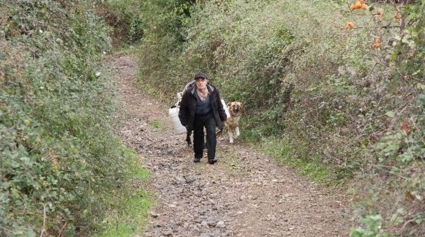 Evine Eşekle Su Taşıyan Engelli Vatandaş, İ&ccedil;me Suyuna Kavuştu