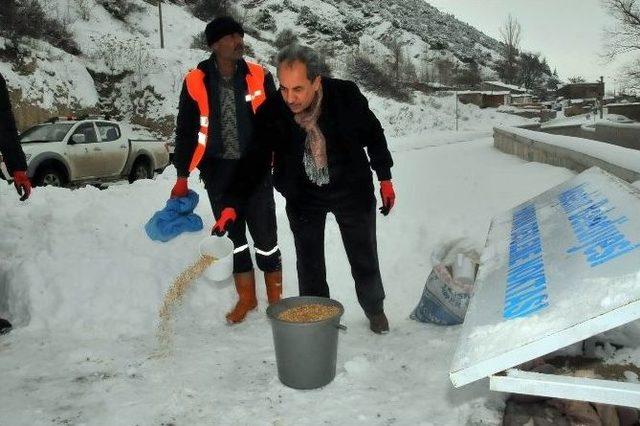 Akşehir Belediyesi Sokak Hayvanlarını Unutmadı