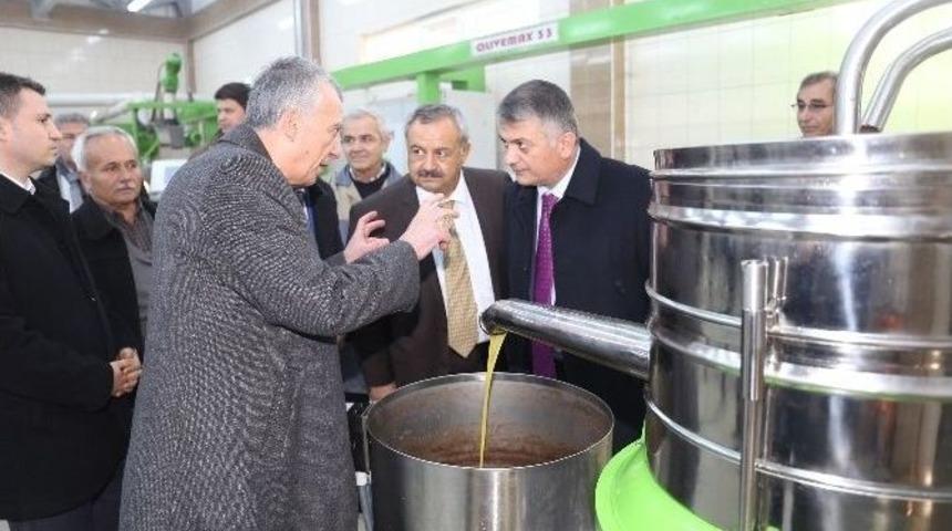 Vali Yazıcı Zeytinyağı Fabrikasını Ziyaret Etti