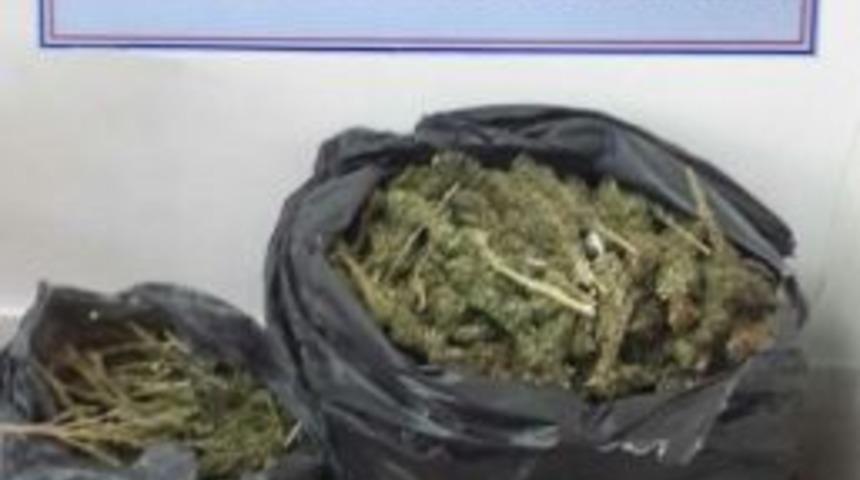 Bing&ouml;l&rsquo;de 16 Kilo Esrar Ele Ge&ccedil;irildi