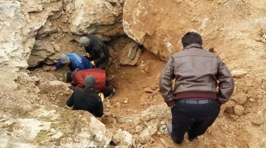 Kayalıklarda Sıkışan K&ouml;peği Afad Ekipleri Kurtardı