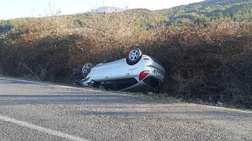 Kediyi Ezmemek İ&ccedil;in Takla Attı