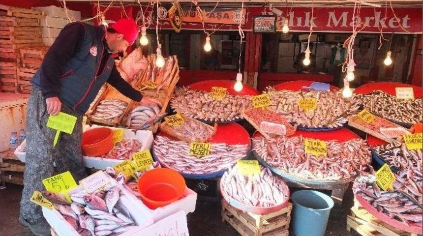 Marmara&rsquo;da Fırtına Sonrası Balık Bereketi...(&ouml;zel Haber)