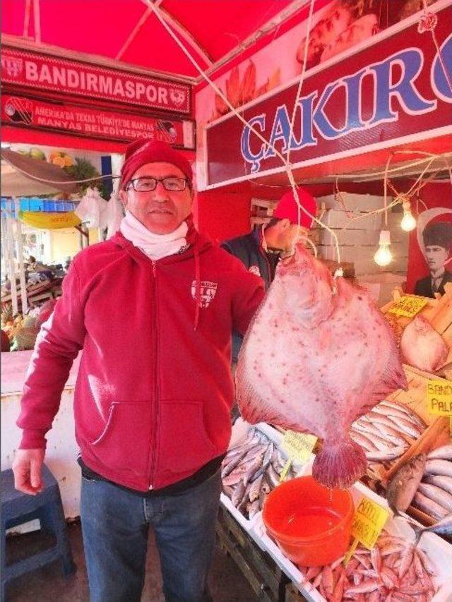 Marmara’da Fırtına Sonrası Balık Bereketi...(özel Haber)