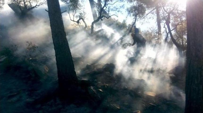 Milas&rsquo;ta Yangına Vatandaşlar M&uuml;dahale Etti