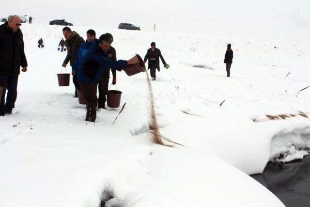 Ardahan Valisi Doğaya Yem Bıraktı