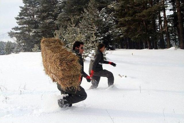 Yaban Hayat İçin Doğaya Yem Bırakıldı