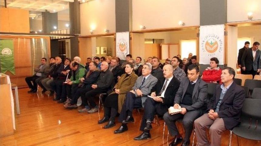 Tescilli &Uuml;retimle Narenciyede Hem Verim Hem Kalite Artıyor