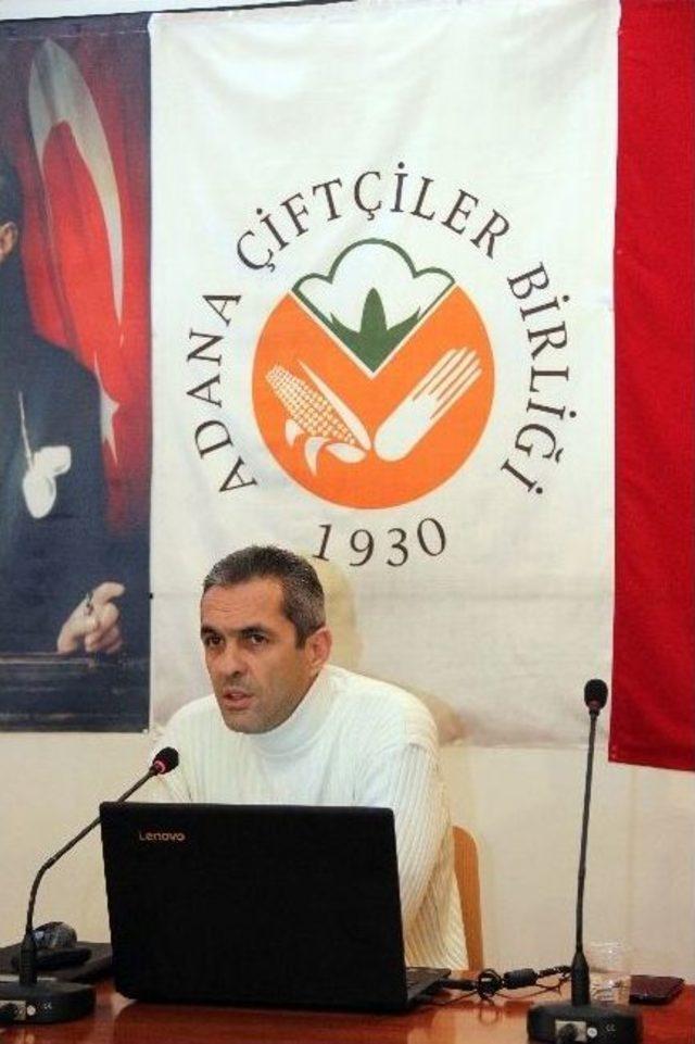 Tescilli Üretimle Narenciyede Hem Verim Hem Kalite Artıyor