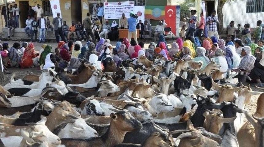 Etiyopya&rsquo;daki Yetimler Unutulmadı