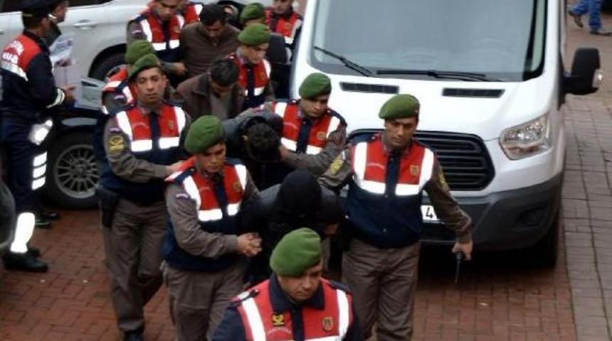 Bartın'da Büyükbaş Hayvan Hırsızlığına 5 Tutuklama