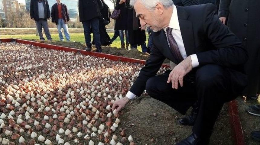 Kağıthane&rsquo;de 15 Temmuz Şehitleri Anısına 15 Bin &Ccedil;i&ccedil;ek