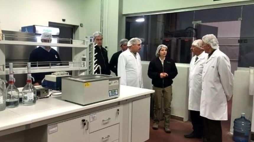 Kayyum Heyeti Fabrika Ziyaretlerinde Bulundu