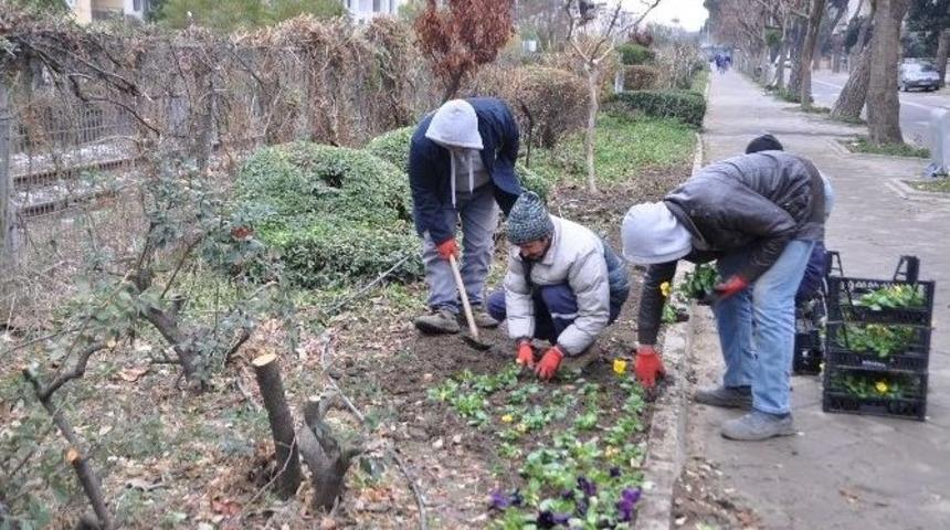 Salihli&rsquo;de Parklar Kışa Hazır