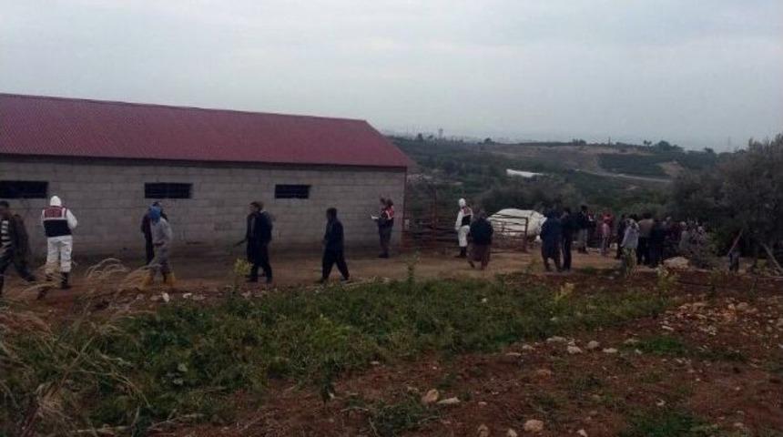 Kovalamaca Sonucu Durdurulan Minib&uuml;ste &Ccedil;alıntı 47 K&uuml;&ccedil;&uuml;kbaş Hayvan Bulundu