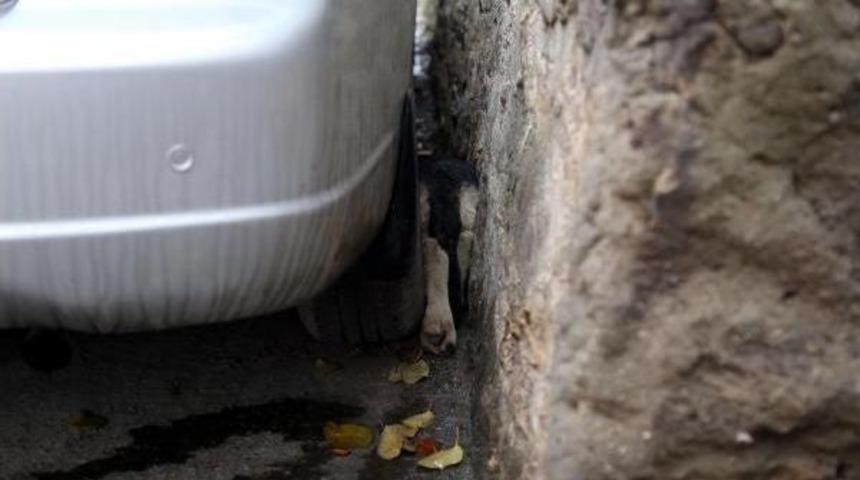 Otomobil Ile Duvar Arasına Sıkışan K&ouml;peği Itfaiye Kurtardı
