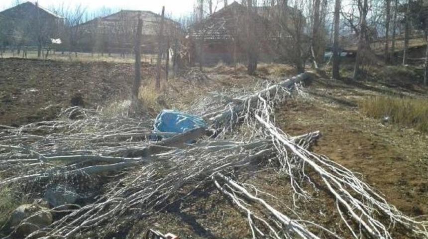 &Uuml;zerine Ağa&ccedil; Devrilen &Ccedil;ift&ccedil;i &Ouml;ld&uuml;