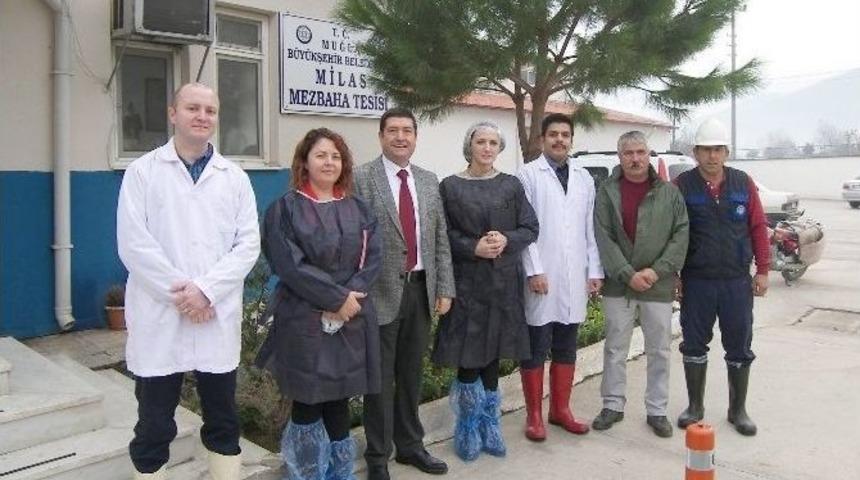 Milas Mezbahası Kalitesini Onaylattı