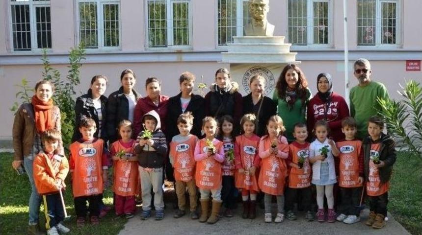 Milas&rsquo;ta Meşe Palamudu Seferberliği