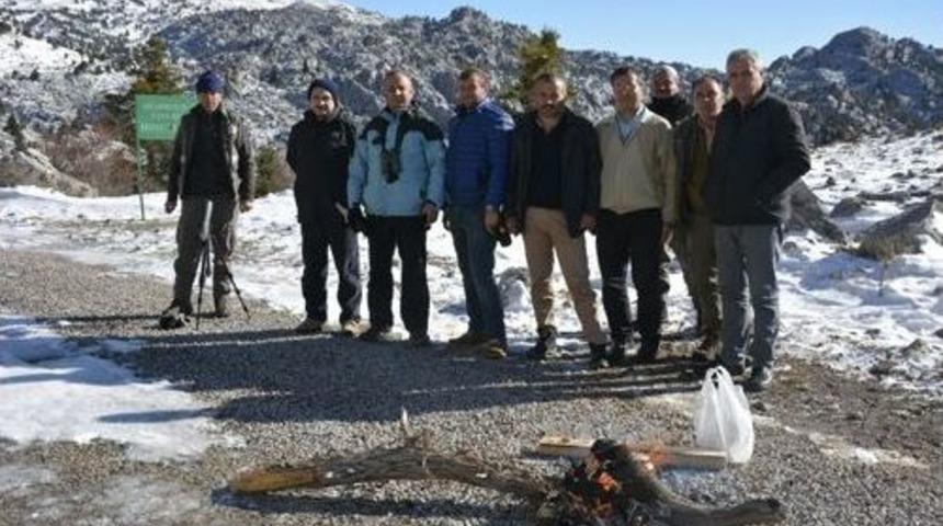 Yaban Ke&ccedil;isi Envanter &Ccedil;alışması Tamamlandı