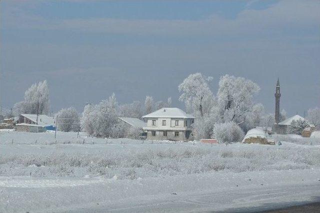 Kars’ta Kırağı Tutan Ağaçlar Kartpostallık Görüntüler Oluşturdu