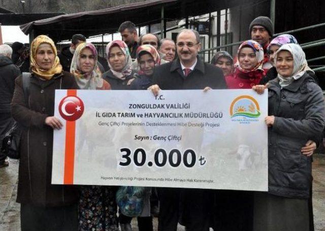 Zonguldak'ta Genç Üreticilere Büyükbaş Hayvan Desteği