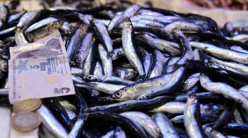 Hamsi Fiyatları 2 Kat Arttı