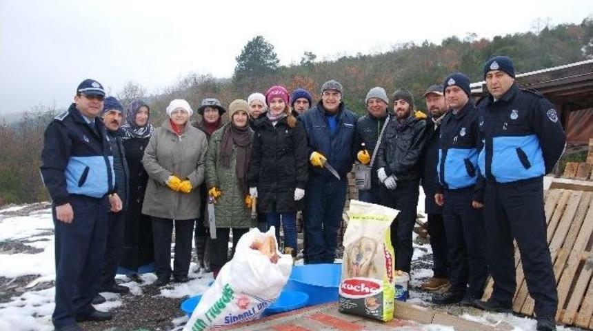 K&ouml;rfez Belediyesi&rsquo;nden Sokak Hayvanlarına Yardım Eli
