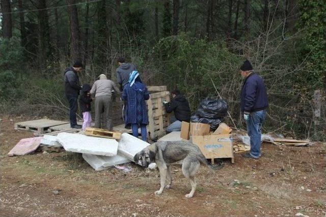 Osmaniye Belediyesi Ve Okü Öğrenci Kulüpleri, Sokak Köpeklerine Kulübe Yaptı