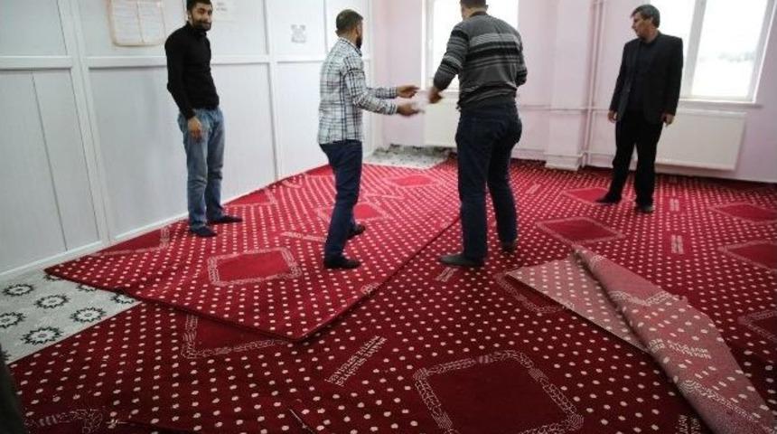 Haliliye Belediyesi Halı Dağıtımlarına Devam Ediyor