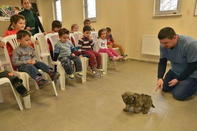 Sokak Hayvanları Sahiplendirmede Büyük Başarı